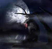 /album/fotogaleria/cccccc-jpg1/